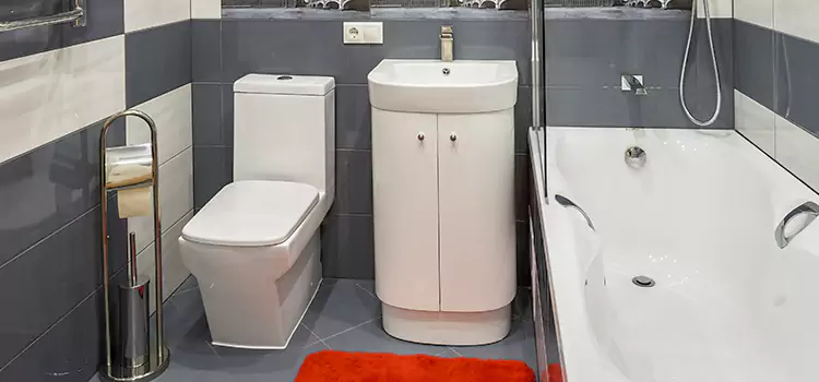 Hansgrohe Shaving Mirror Palmdale